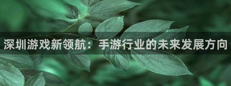 恩佐娱乐1：深圳游戏新领航：手游行业的未来发展方向