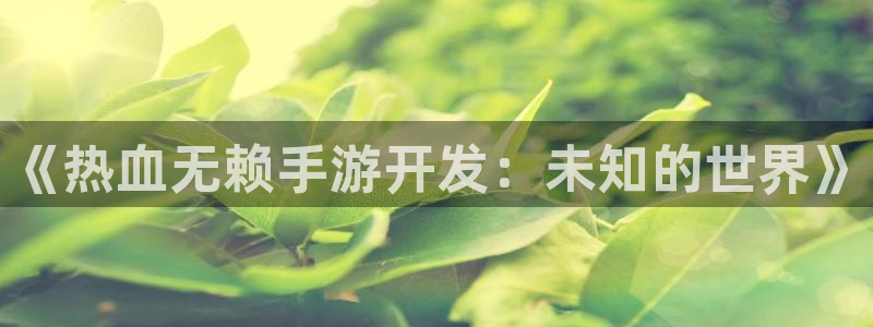 恩佐娱乐平台正规吗安全吗：《热血无赖手游开发：未知的世界》