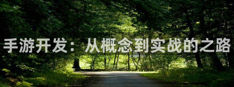 恩佐娱乐官方注册：手游开发：从概念到实战的之路