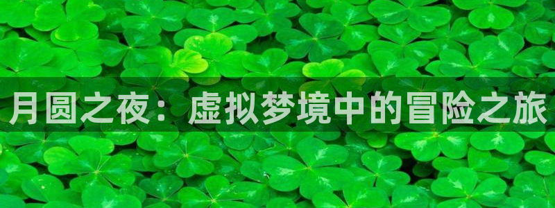恩佐娱乐手机登录：月圆之夜：虚拟梦境中的冒险之旅