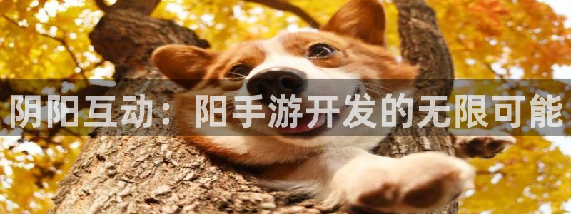 恩佐娱乐平台正规吗知乎：阴阳互动：阳手游开发的无限可能