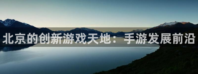 恩佐娱乐手机登录：北京的创新游戏天地：手游发展前沿