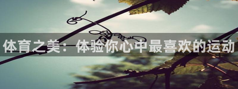 皇冠678体育