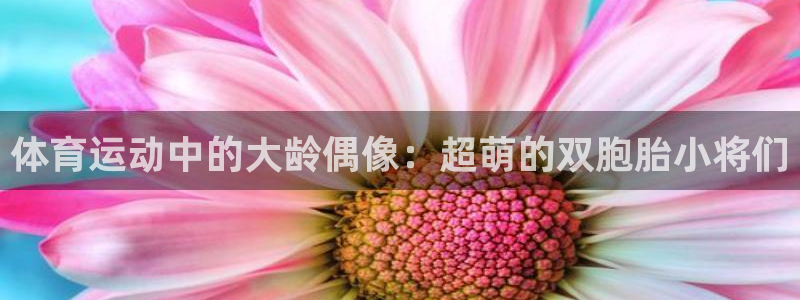 678体育知识