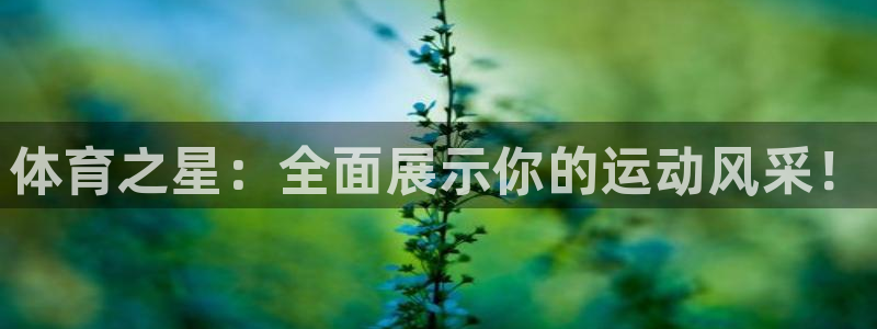 678体育知识