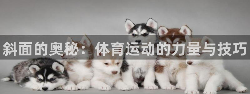 678体育官网地址