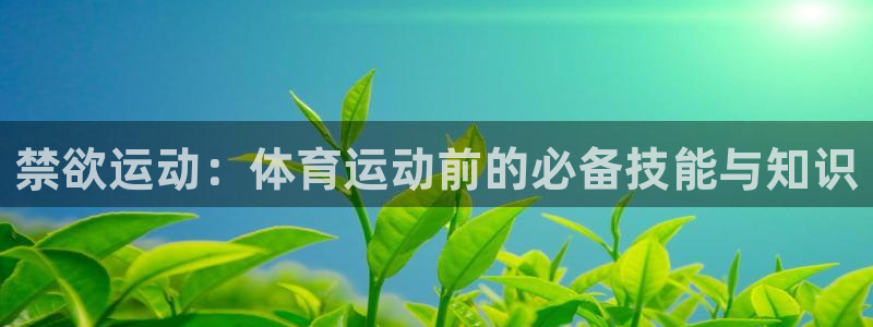 678体育