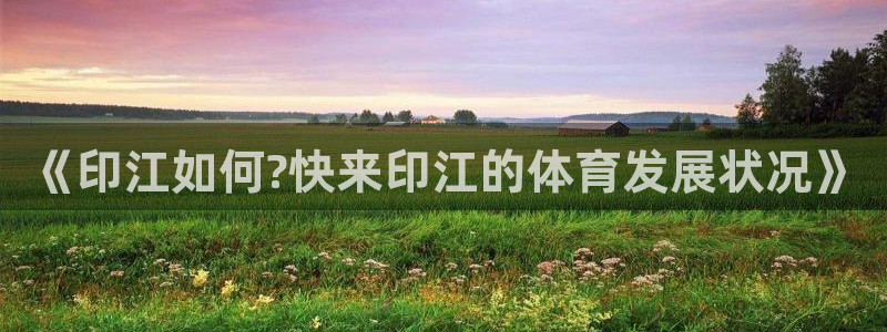 678体育app